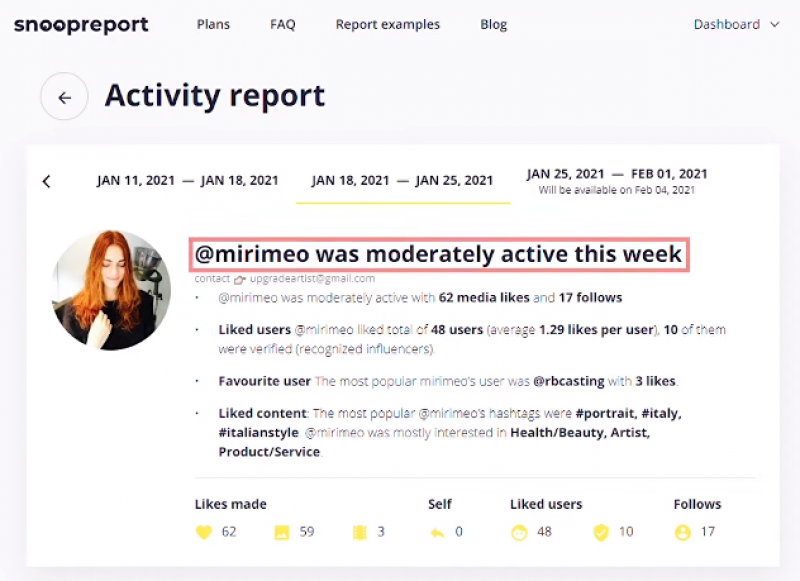Snoopreport Activity Report